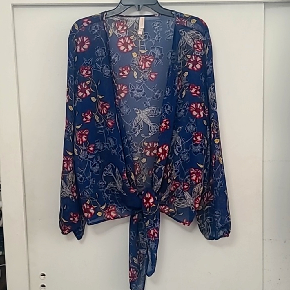 Sheer Blue Floral Long Sleeved Blouse
